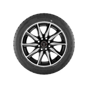 DISC per ATD Nitto Invo Tire P25545ZR18
